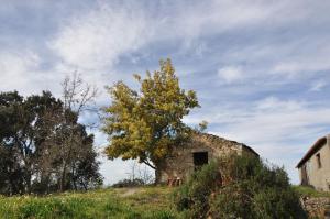 Quinta-da-Encavalada