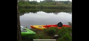 Thatched 1 person Cottage