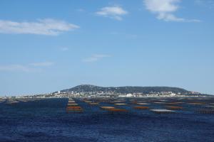 Hotels Hotel Sables D'or : photos des chambres