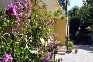 Anima Gea Experience