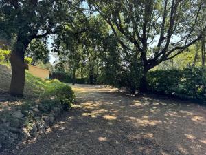 Villas L-Oliveda - completement climatisee, piscine, calme, proche commerce et lac, ski a 45min : photos des chambres