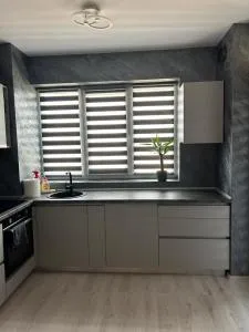 Alexia apartment - Acăţari