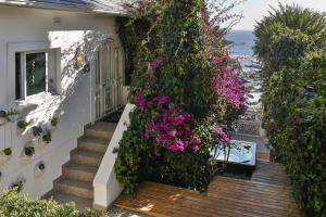 Clifton YOLO Spaces - Clifton Boutique Apartments