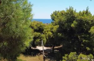 Fistiki Rooms #6,7 - Mesargos