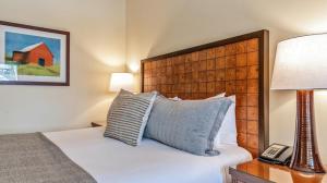 1216 - Studio- Lodge At Spruce Peak Ski in Ski Out - Stowe Mt Resort - Ski in Ski out - Sleeps 4