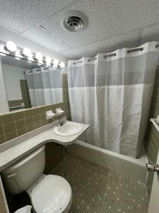 Standard Family Room room in Landmark Motel