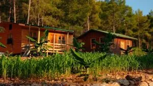 likya korsan koyu kamp - Arpabeleni