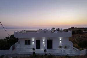 Andros Seaview Hotel