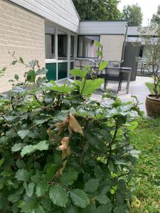 Vakantiehuis ontdek Zuid - Limburg