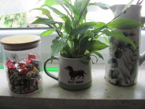 #3 Gemütliches ruhiges Zimmer Gartenblick, Gemeinschaftsbad W-Lan Airport nah gelegen mit Late Night Check in Haus Nr 9,5