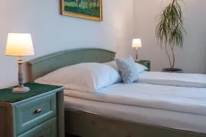 Willa Vista Apartamenty - 赖曼瑙-兹德鲁伊