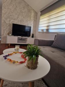 In Lux 2 apartman Vrnjacka banja - Ubytování bez kategorie ve městě Vrnjačka Banja