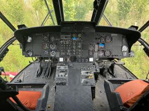 Sea King