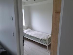 Koidula külaliskorter