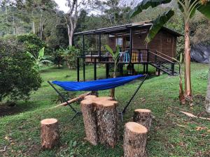 Cabaña tipo glamping en finca cafetera con zonas verdes, avistamiento de aves, paisaje cafetero