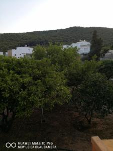 Apartment close to the beach