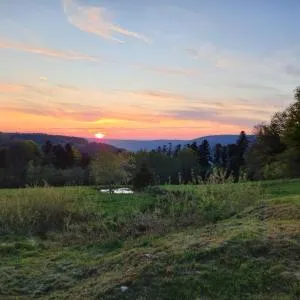 GITE LA HOUBETTE VUE MAGNIFIQUE - Nature - Dommartin-lès-Remiremont