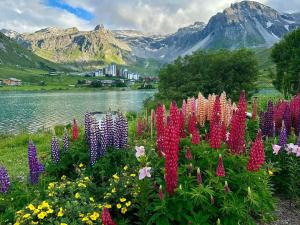 Studio Tignes Sud-Est avec Balcon et Vue Montagne - FR-1-449-187