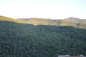 Bed and breakfast Bell'aria img20