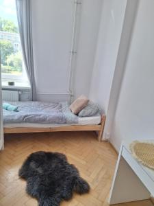 Regem Aleja Solidarności