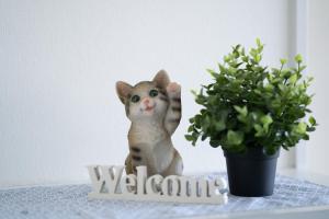 Nishinippori Guest House -Sendagi house- , elevator , private kitchen , private bathroom