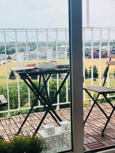 40 m2 Apartament City Centrum- 1km od Dworca Centralnego- Piękny Widok na Warszawę- Nowo grodzka