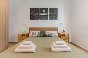 Casa Cactus - 维拉韦德