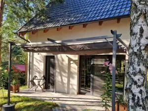 Lobeliowe Zacisze Sominy - Sominy