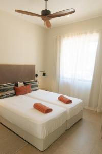 Beach and Mountain - Tamarin