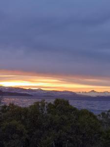 Calafates y lavandas