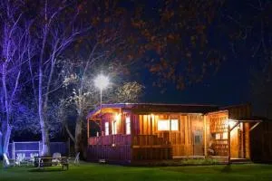 Unique, Private Cabin Oasis - 彭德尔顿