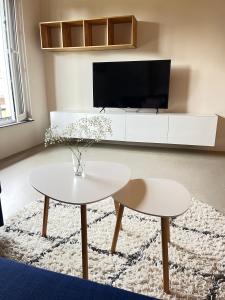 quiet & cozy Apartment near airport BER, free Wifi & parking #rechts