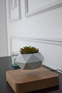 Departamento de Estreno Lima Miraflores