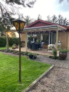 Toghale - Ellum Mark