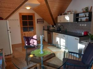 apartmán U dědy Lubina