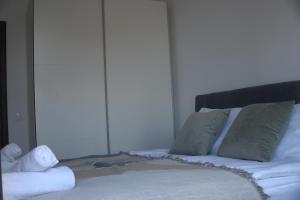 Panorama view free parking