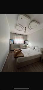 appartement proche de la marina