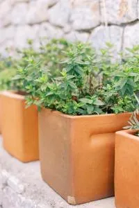 Mani 's Cave - Gonéa