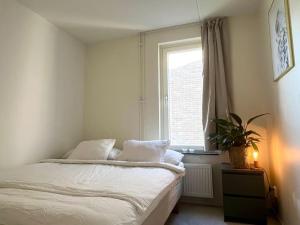 Trerumslägenhet centralt belägen med bubbelpool