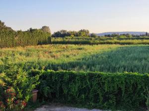 Sejours chez l'habitant Chambre de 1 personne dans Mas de Luberon : photos des chambres