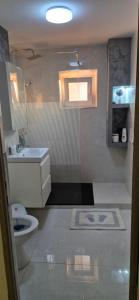 Apartament Roman