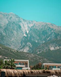 Palase Elite Villas