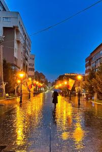 Apartament Axa Brâncuși