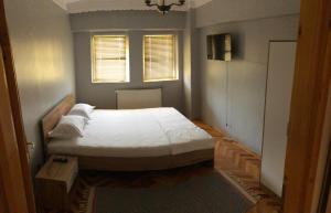 Apartament Axa Brâncuși