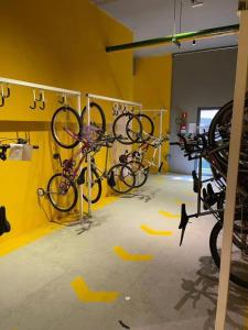 MV 83A Studio Green Brás - Rua Coronel Mursa, 56 - Bras