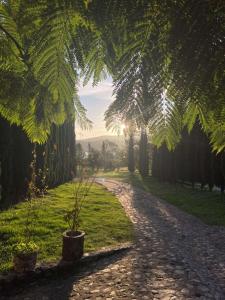 Hotel Boutique Calderon