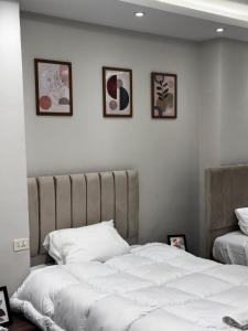 Queen of Zamalek 3BR apt