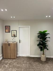 Queen of Zamalek 3BR apt