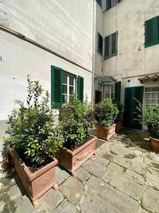 Benvenuti nel paradiso in cittĂ
