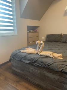 Sunset Luxury Apartment